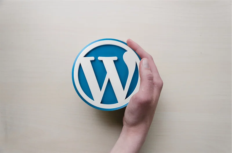 Orland Park WordPress web design image of hand with WordPress logo